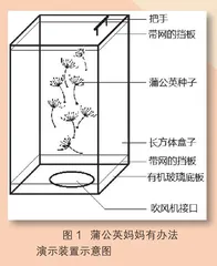 《植物妈妈有办法》系列演示装置