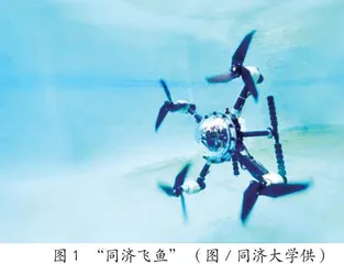 “同济飞鱼”