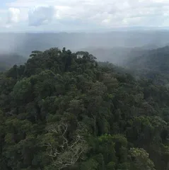 给地球建档案6