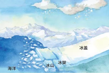 气候变化“指挥员”: 南极冰盖与北极海冰1