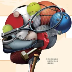 大脑的“活力秘籍”7