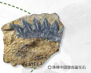 50年,青藏科考再出发! 3