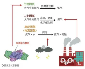 氮气坚固的化学键,是如何被击破的?1