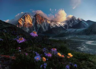 在博格达峰,与盛夏雪莲相遇5