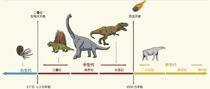 穿越青藏高原的史前巨兽:巨犀家族1