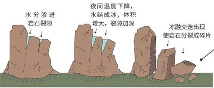 青藏高原的冻土化了怎么办?1