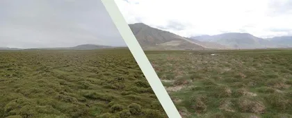 青藏高原的冻土化了怎么办?2