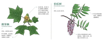 寻找藏在九宫山的远古地貌1