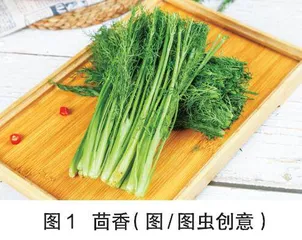高“盐值”的蔬菜