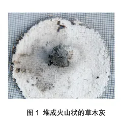 蔗糖小苏打版“法老之蛇”