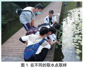预防登革热，从灭蚊开始