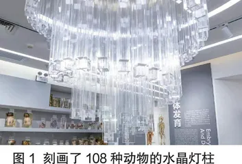 人体形态学探索之旅