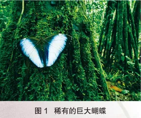探秘黔北野考天堂