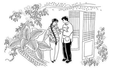 奶奶的后花园