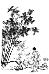 老屋后的那片竹林