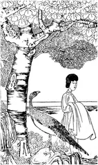四物注