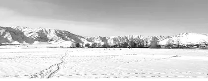 逢雪