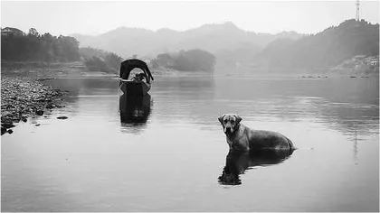 淀上人家