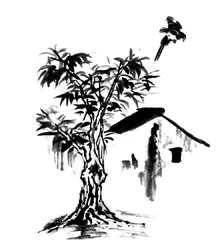 香椿树的体温