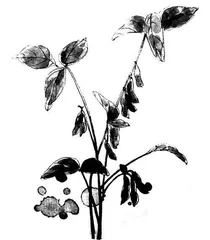 “腐”而不朽能成“鲜”