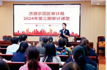  图说审计（13）