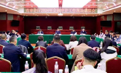 河南省审计厅党组成员、副厅长冯亚辉参加2024年全省金融审计工作现场调度会