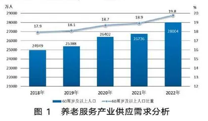 风险防控视域下我国养老服务产业审计监督策略研究