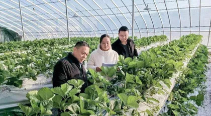 财政审计对国家治理现代化的挑战与机遇