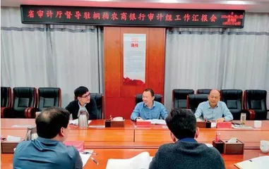 河南省审计厅  到桐柏县调研指导农商行资产负债损益情况审计工作