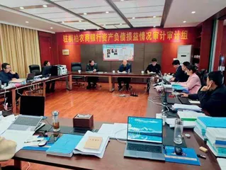南阳市审计局  调研督导农信行社资产负债损益情况审计工作