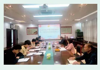 图说审计