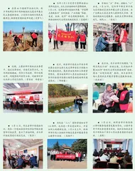图说审计0