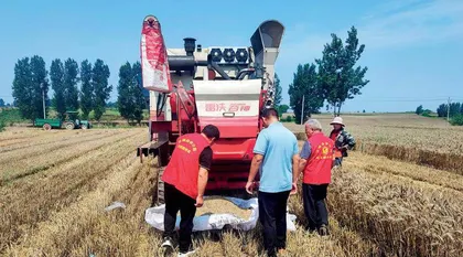南阳：审计帮扶夏粮抢收