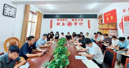 河南省各级审计机关	学习贯彻党的二十届三中全会精神（三）
