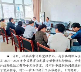 科研单位内部审计体系重构及方案设计