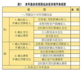 财会监督视角下本年盈余和预算结余差异调节表对信息化建设路径的分析