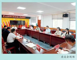 罗山县审计局 	廉政谈话敲警钟  打造“廉洁审计”队伍