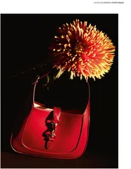 花语6