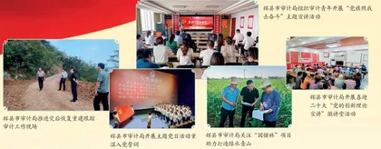辉县市审计局　发挥审计监督职能　谱写发展新乐章