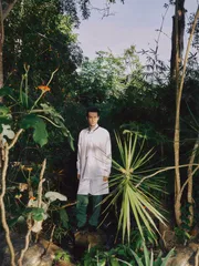曼珠沙华12