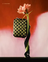 花火2
