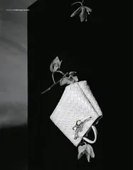 花火8