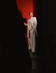 梦幻泡影12