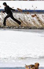 阳春白雪