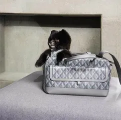 盛事7