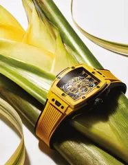 一口盛夏时光3