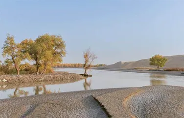 新疆考古百年:何以润天山1