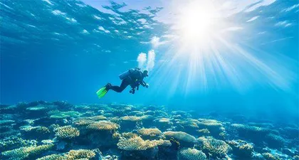 海洋酸化对海洋颜色有何影响