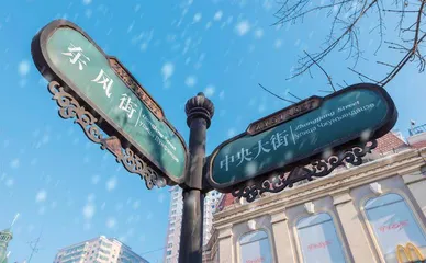广西与东北的“双向奔赴”缘何成为“顶流”?4
