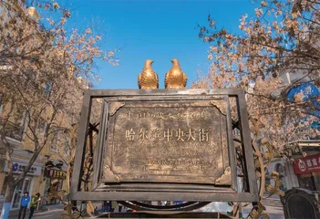 广西与东北的“双向奔赴”缘何成为“顶流”?5